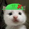 alenna_bilqis1