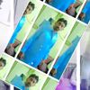 user7103072110361