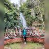 ulfa234___