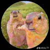 biniberocha19