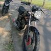 rx.kings135