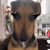 maiteeeeeat