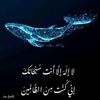 user4512126565684