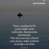 www.tiktok.elcinrzazade