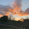 kleo_albo