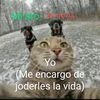 josuemurielc