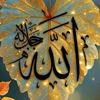 wahida.chelly