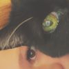 aieswildchil