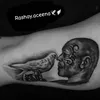 rashay.aceena