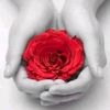 foufa_fatti