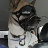 the_dogwithsunglasses