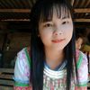 duahongth