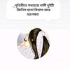 md.sahid2078