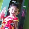 zelin7668