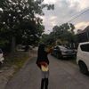 qnianour_