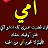 user19174081537174