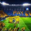user264736206