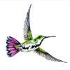 hummingbird_drive