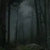 k1ssmedarl1ng