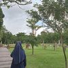 xyca.alone