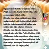 thien.203.ne