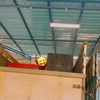 bagas_dosent
