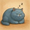 bluecat_91