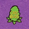 crocbudsoficial