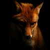 zhuayb_67