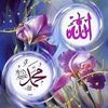 farida41470