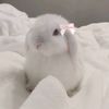 akunaslxq82