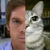 lucas._.viveiros