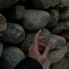 tulip_2302