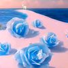 sadiya779