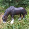 _schleich.collector_