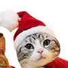 le_chat_fr0