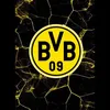 bvb.12344