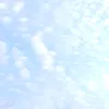 sofy_584_