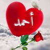 ahmedbabiker736