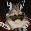juegamath1