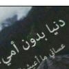 salehsnd