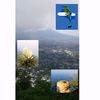 aguasfrias503mybelloes