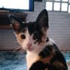Kashka