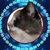 abrilu04
