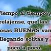 marisol81953