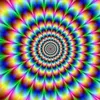 user4730030017981