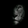 singa_jant4n