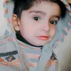safarishali55