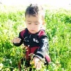 aslamahmd76