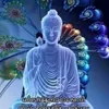 user8719616136139